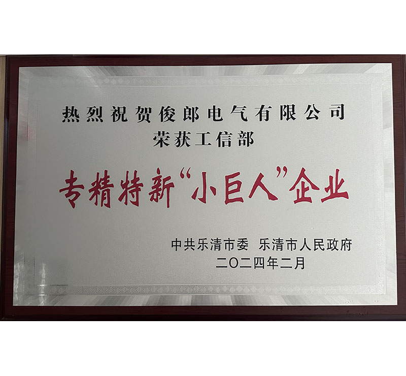 專精特新“小巨人”企業(yè).jpg